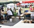 Večina odličij na Madžarsko in v Srbijo