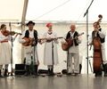 Večina odličij na Madžarsko in v Srbijo