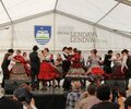 Večina odličij na Madžarsko in v Srbijo